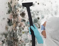 Mold Odor Removal Services in Smith Center, KS